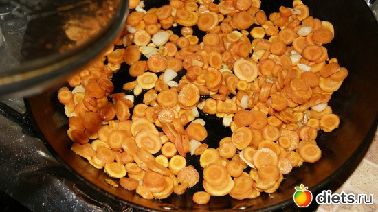 1 ����: 5 ������ ������� �����