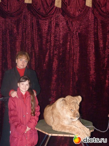 11 ����: �