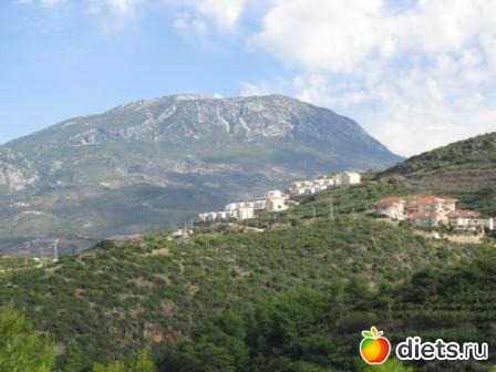 ���� ��� �� �����