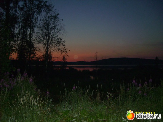 ����� �� �����, ������: ����