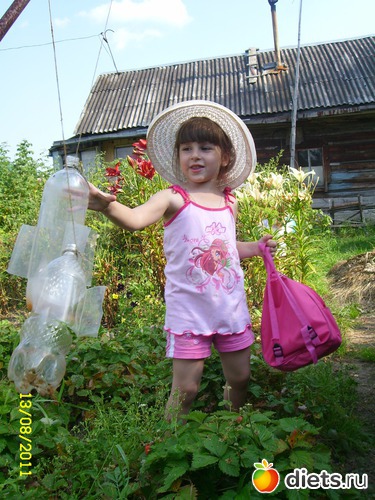 �������� � ���� � �������, ������: ����