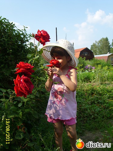 ����, ������: ����