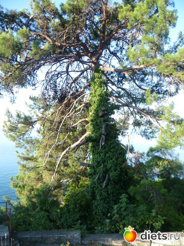 6 ����: �������