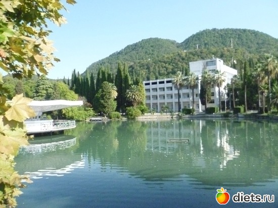 ����� ����, ������: �������