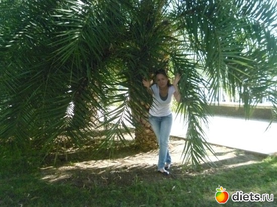 ��� ��������, ������: �������