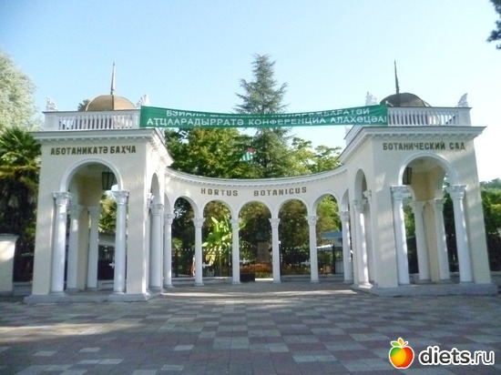 10 ����: �������