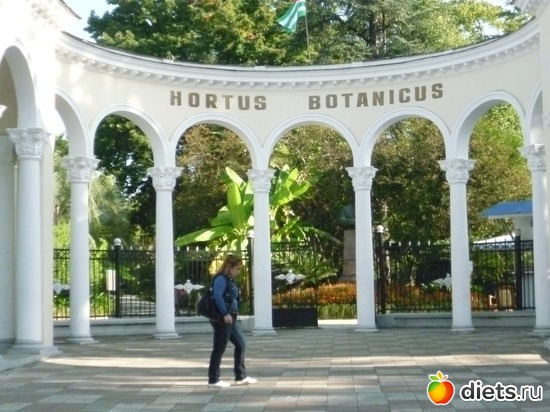 11 ����: �������