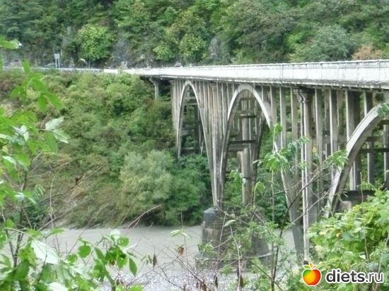 ���� ����� �������. ����� ��� ������������ ���., ������: �������