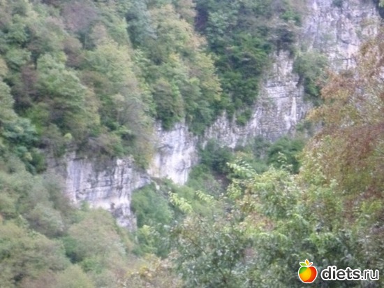 14 ����: �������