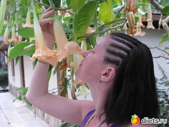 �������)))))))), ������: ������, ��� 2011