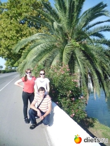 24 ����: �������