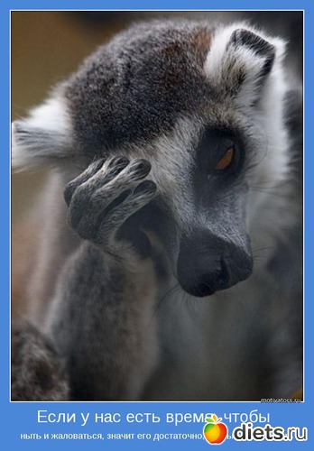 21 ����: ������������