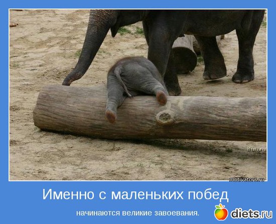 2 ����: ������������