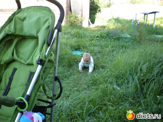 �� ���� ������� �������, ������: 2011