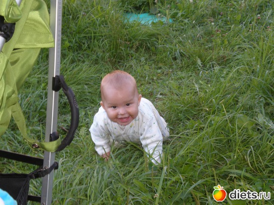 55 ����: 2011