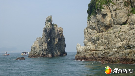 5 ����: ����� � �