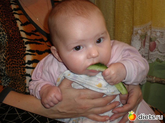 73 ����: 2011