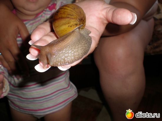 ���� ��������, ������: 2011