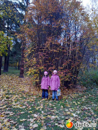 97 ����: 2011