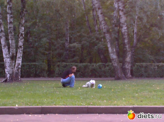 78 ����: 2011