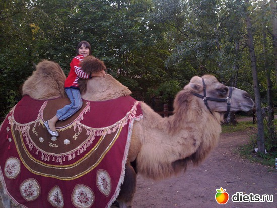 80 ����: 2011