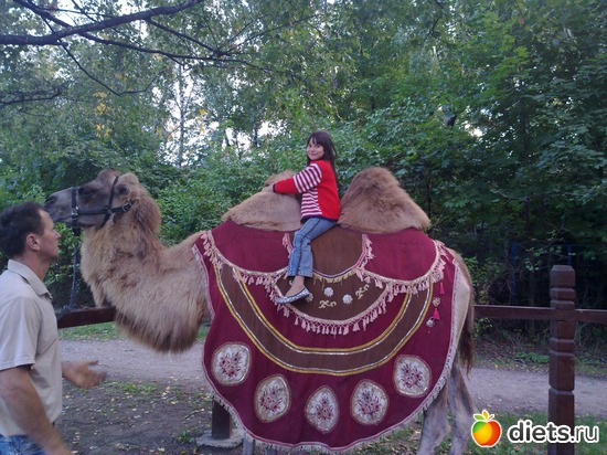 81 ����: 2011