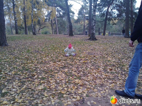 95 ����: 2011