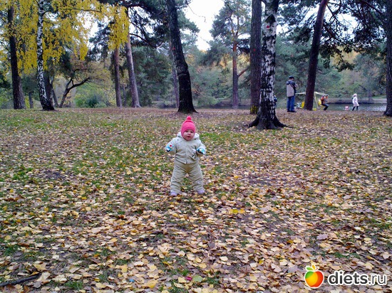 96 ����: 2011