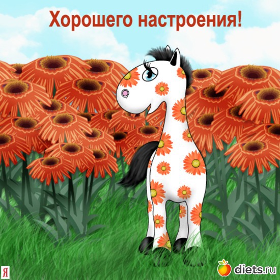 1 ����: �������� � ������ ������� ����