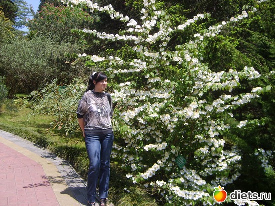 ��� 2011 - 73-74 ��, ������: ���������� ���������