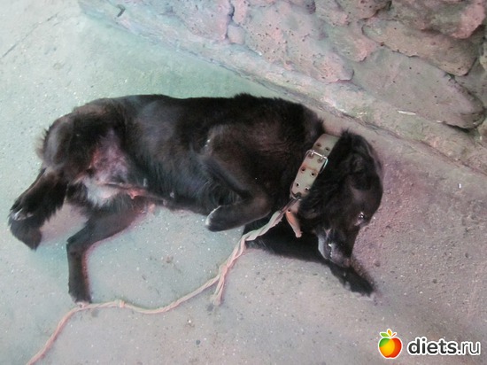 ��� ������ ����, ������: � � �� ������� ���������...