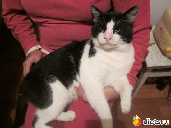 3 ����: � � �� ������� ���������...