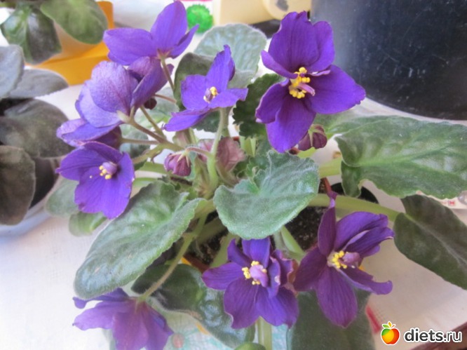 1 ����: ��� ������