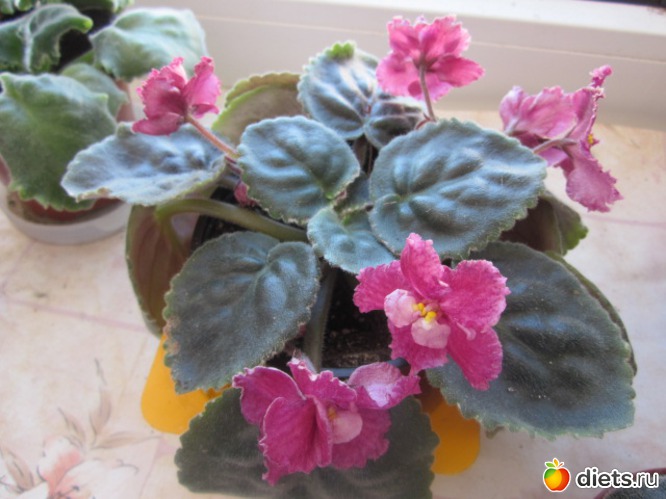 2 ����: ��� ������