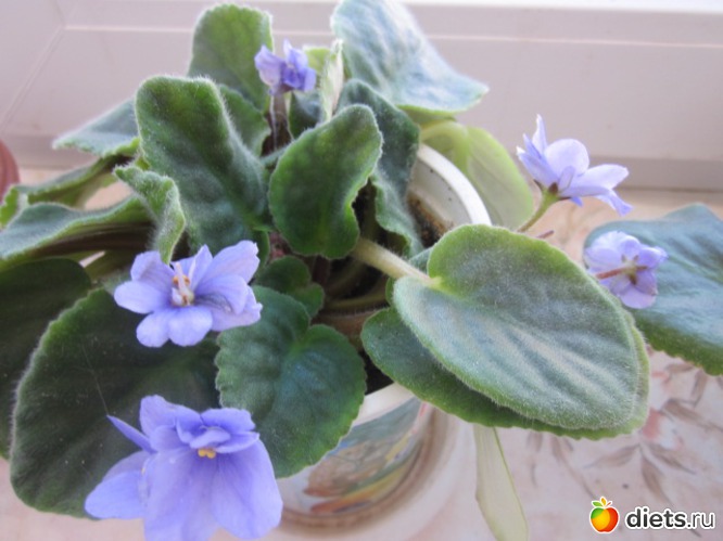 3 ����: ��� ������