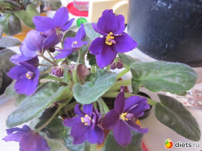 4 ����: ��� ������