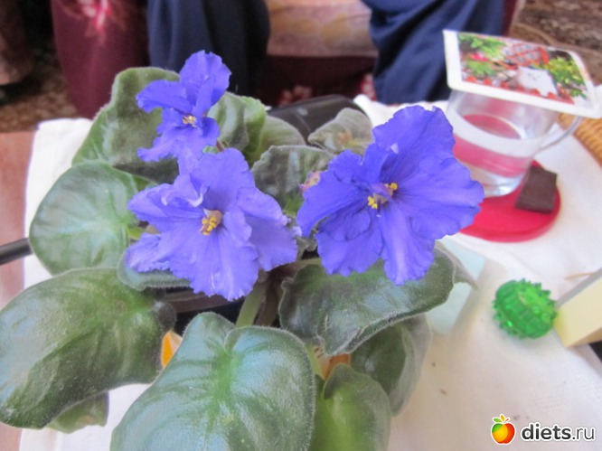 6 ����: ��� ������