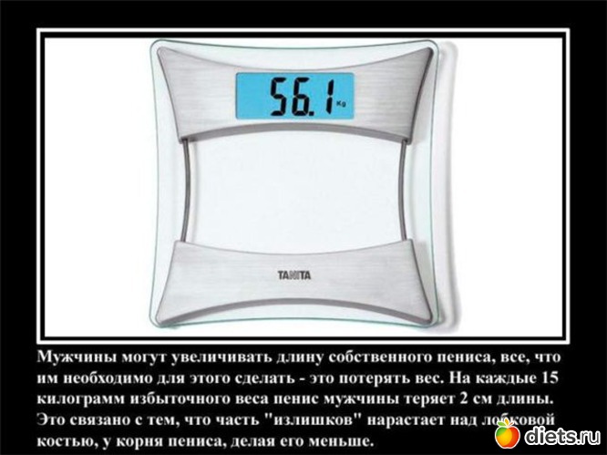 2 ����: ���