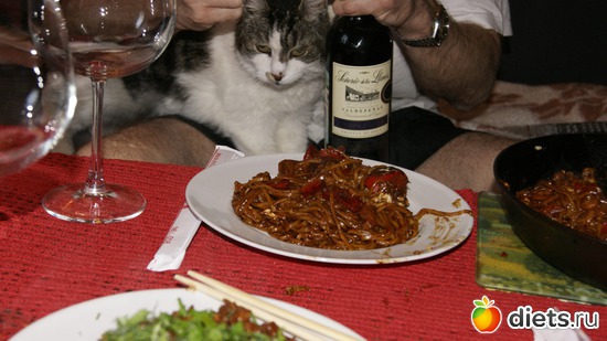 1 фото: Кошки и собаки! Все наши!