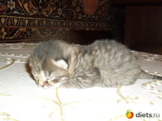 19 фото: Таис Бретанская (голубая)