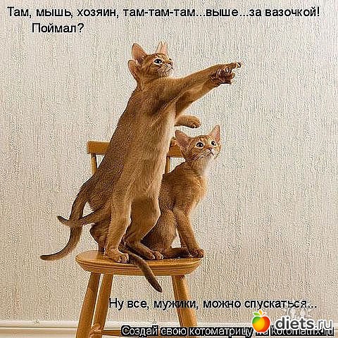 ������ � ��.