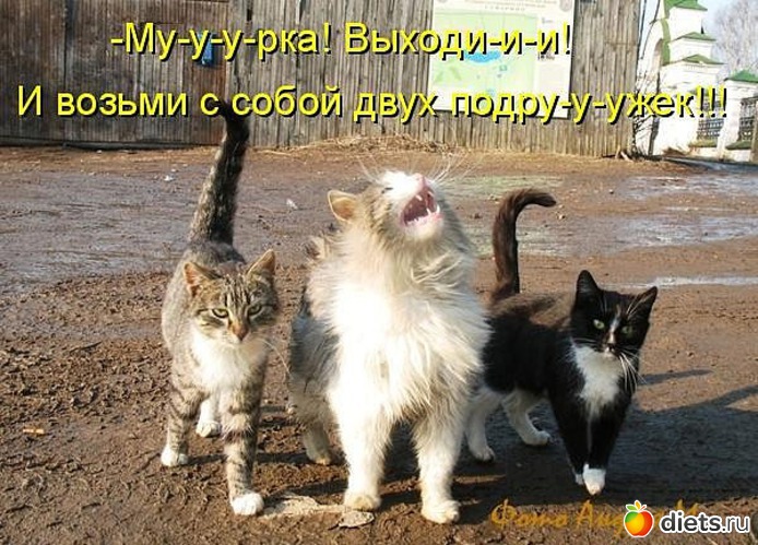 6 ����: ������ � ��.