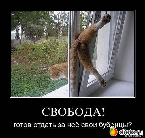 ������ � ��.