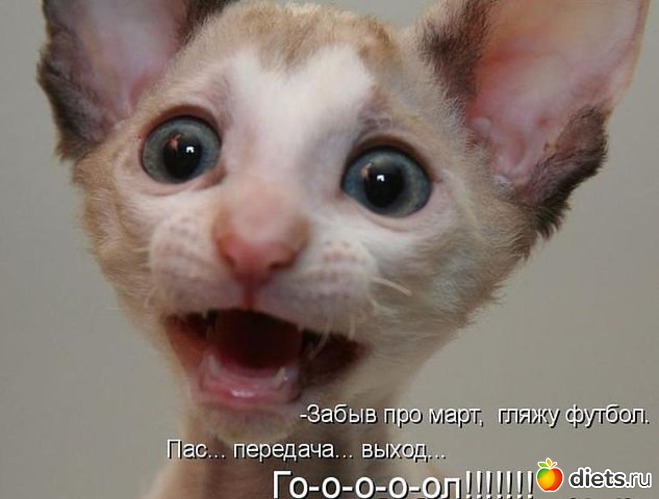 11 ����: ������ � ��.