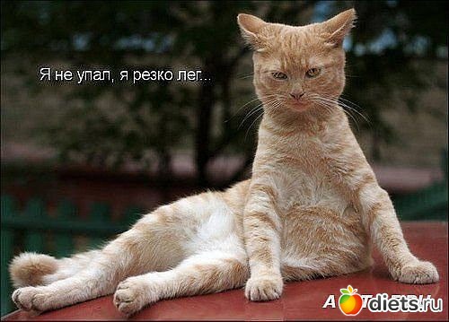 ������ � ��.