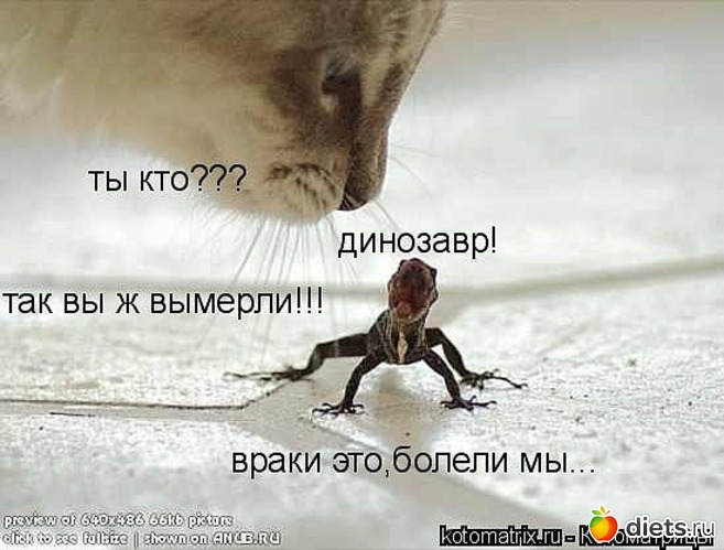 67 ����: ������ � ��.