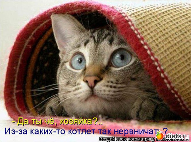 68 ����: ������ � ��.