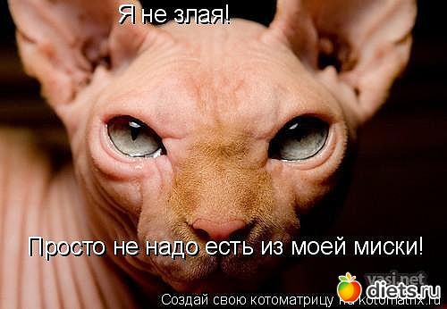 ������ � ��.