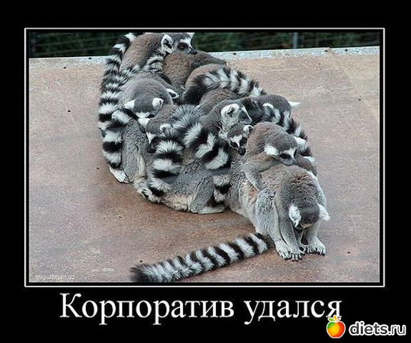 71 ����: ������ � ��.