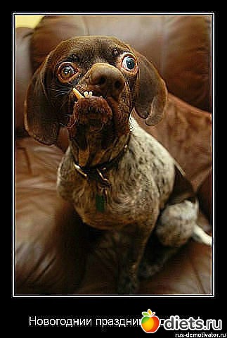 ������ � ��.